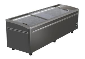 Ларь-бонета Haier GTS2500G серый