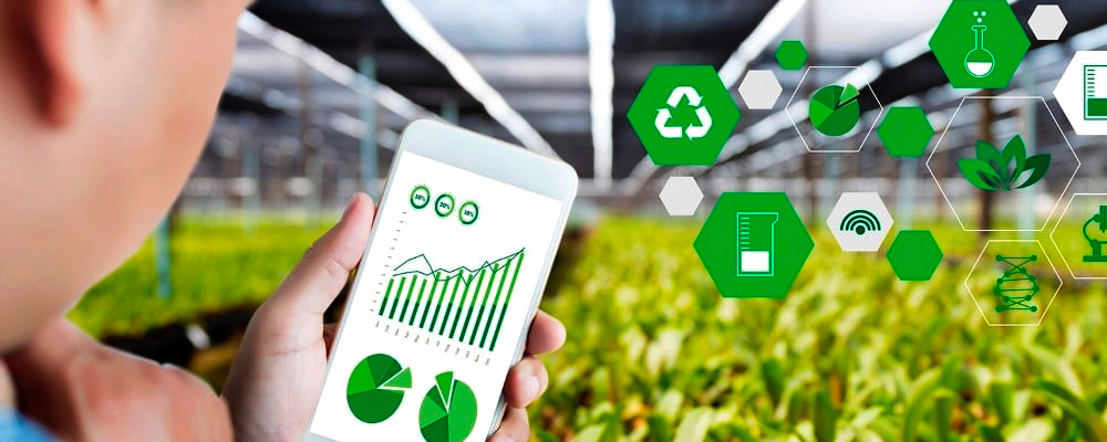 Global Fresh Market Vegetables & Fruits