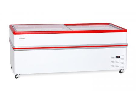 Снеж Bonvini 2100