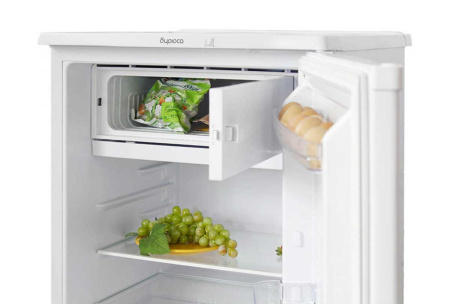 Холодильник Бирюса 8