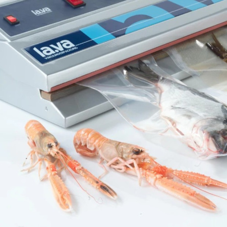 Вакуумный упаковщик LAVA V.500 PREMIUM