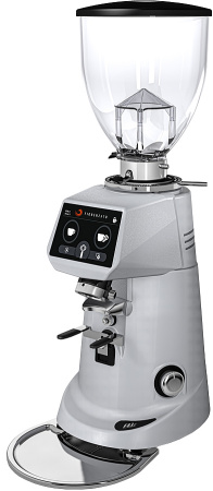 Кофемолка Fiorenzato F83 E серый