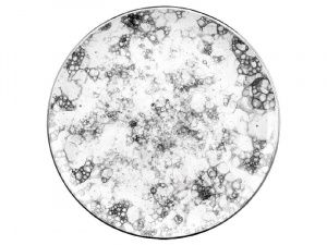 Тарелка Bonna RBL GRM 19 DZ Тарелка Bonna RBL GRM 19 DZ