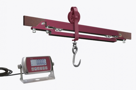 ФИЗТЕХ Весы ВМ-600 (опции)