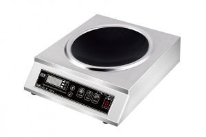 ICW 3500 WOK ICW 3500 WOK