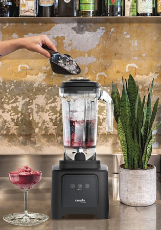 Блендер Ceado B185 для бара