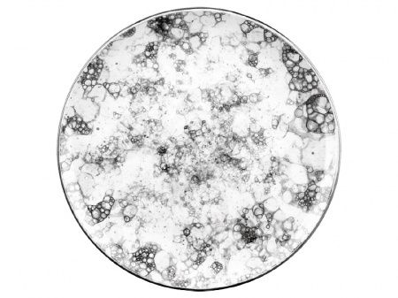 Тарелка Bonna RBL GRM 19 DZ