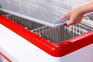 Съемное стекло Bonvini 2100