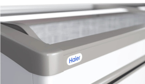 Ларь-бонета Haier GTS2500W