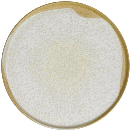 Тарелка KUTAHYA Sand Wind BNROT24DU890552, 240 мм