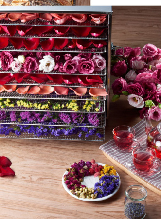 Сушилка-дегидратор Kocateq DHFD10